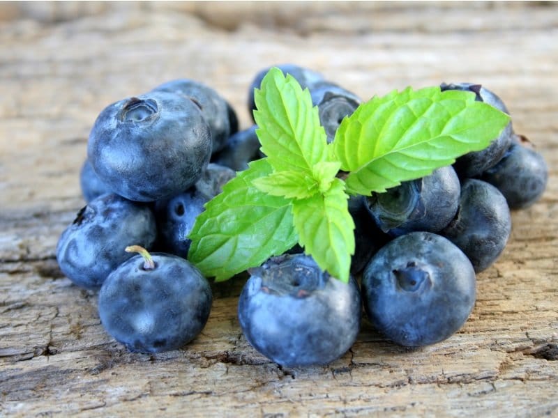 Blueberries with mint leaves_800x600