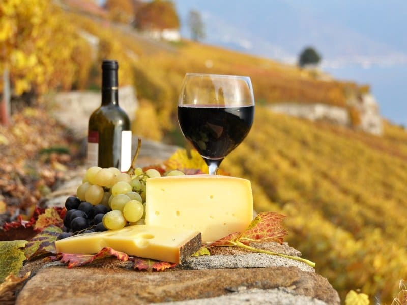 Drink_Wine and cheese_800x600