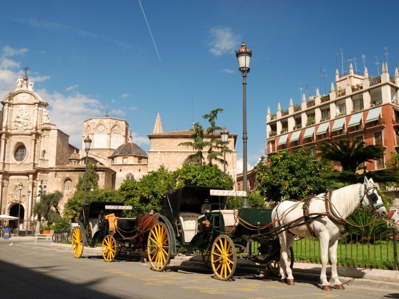 Valencia_Horse driven cabs in Valencia, Spain_800x600