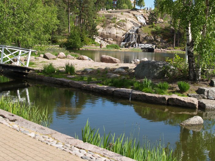 Kotka_Sapokka3_1