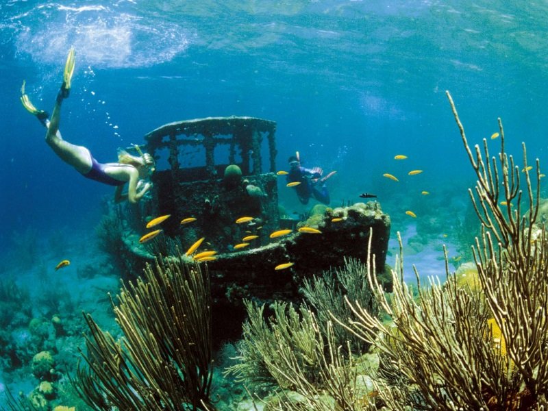 Curacao_Dive-sukellus_800x600