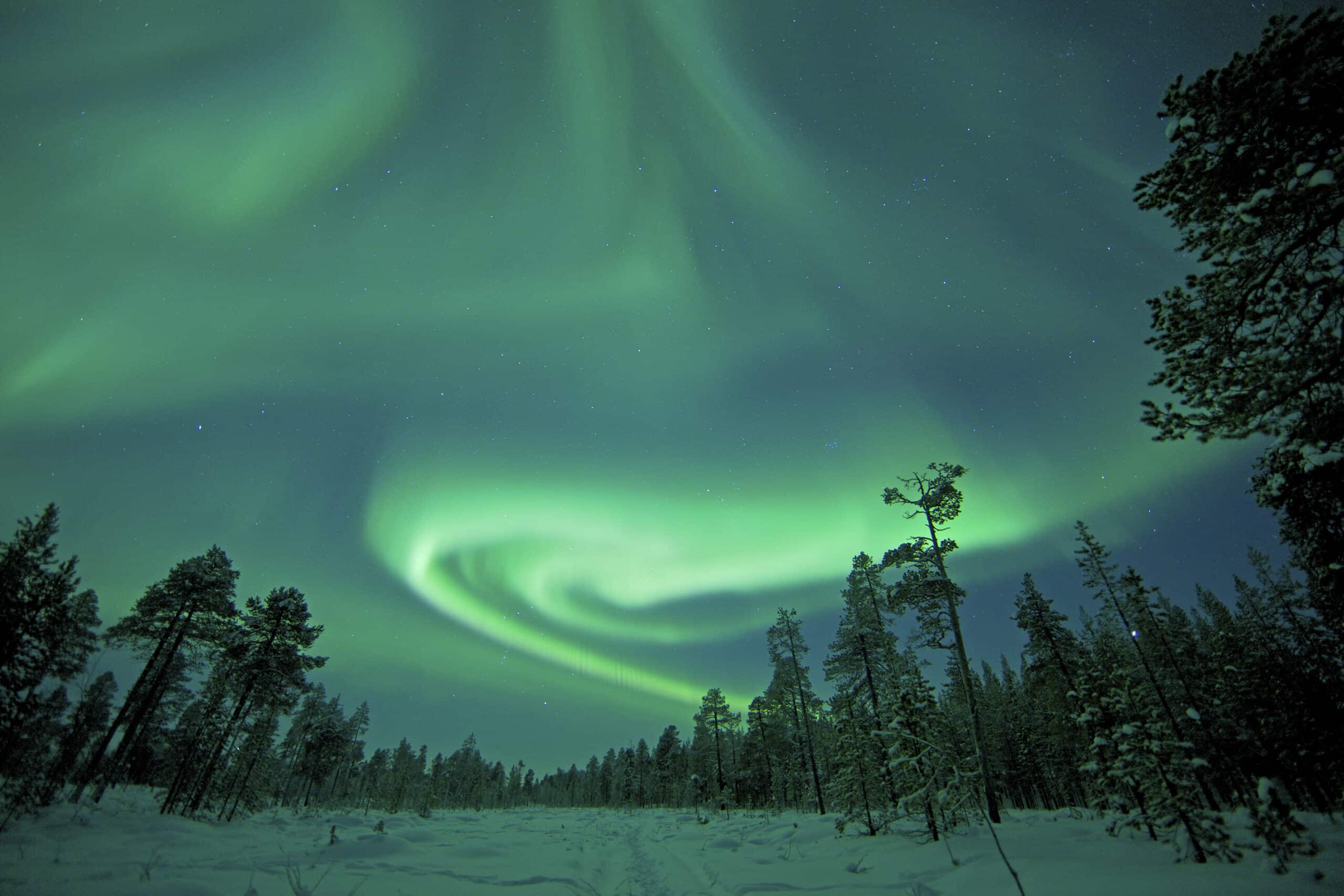 Aurora