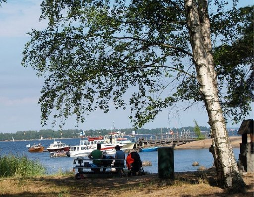 kotka_varissaari