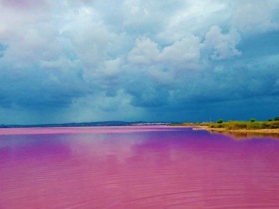 Espanja_Suolajärvi_Laguna de Torrevieja_Merja Yrjölä_800x600