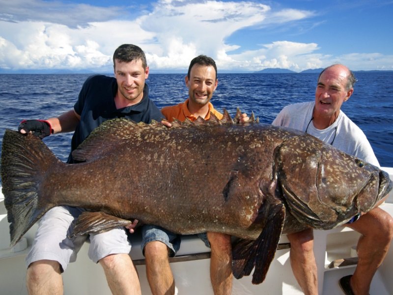 Fishermen holding a giant grouper_800x600 Kymenmatkat