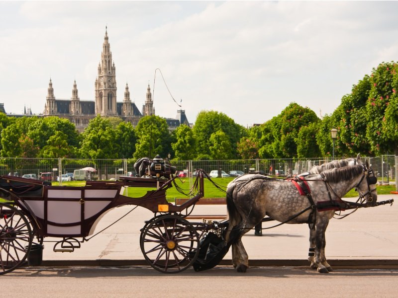 Wien_Townhall in Vienna, Austria_800x600