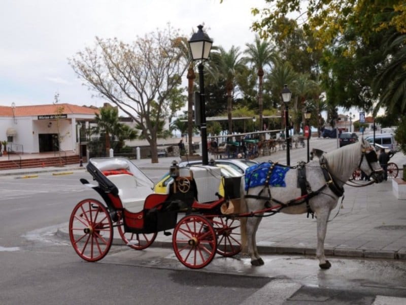 Mijas_2013-3-800x600