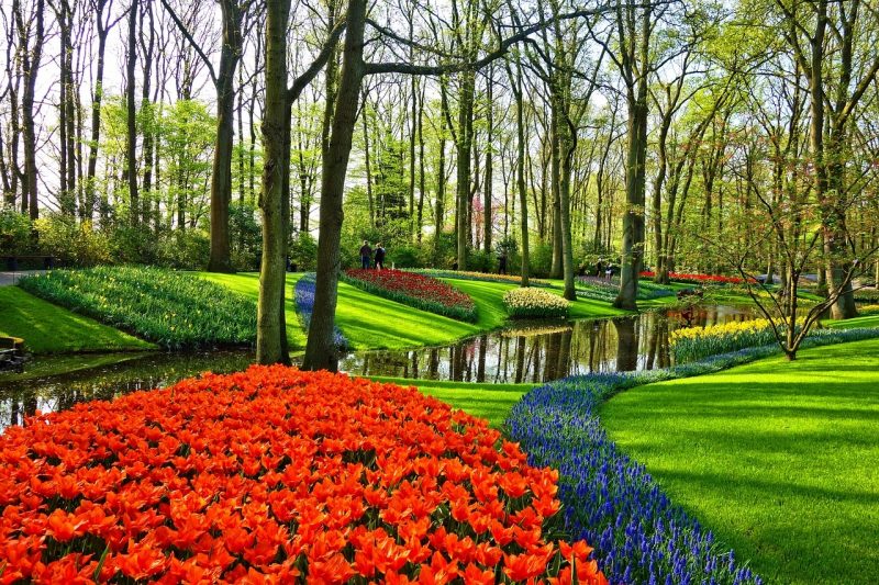 Hollanti-Amsterdam-Keukenhof-2-1280