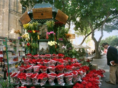 Malta_flowershop_800x600