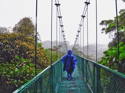 Costa Rica_ Cloud Forest Canopy I Monteverde_800x600
