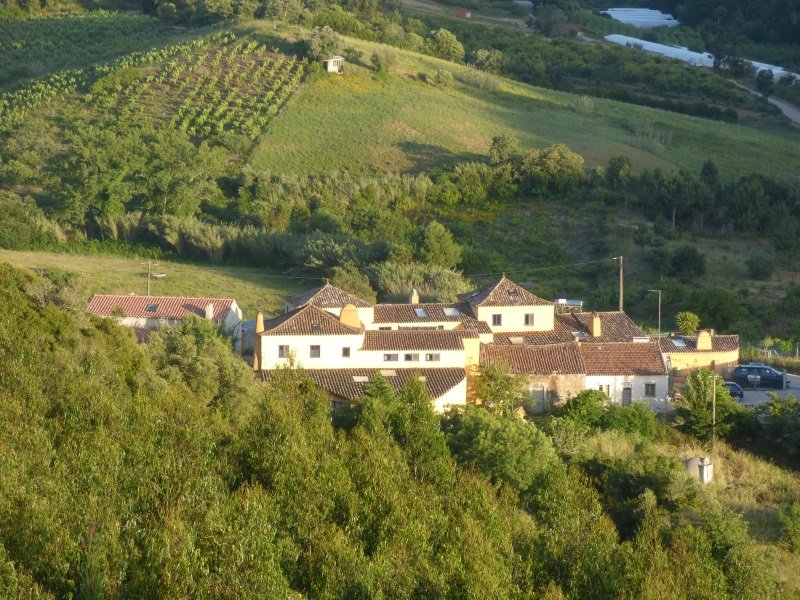Portugal_Jooga_3_800x600
