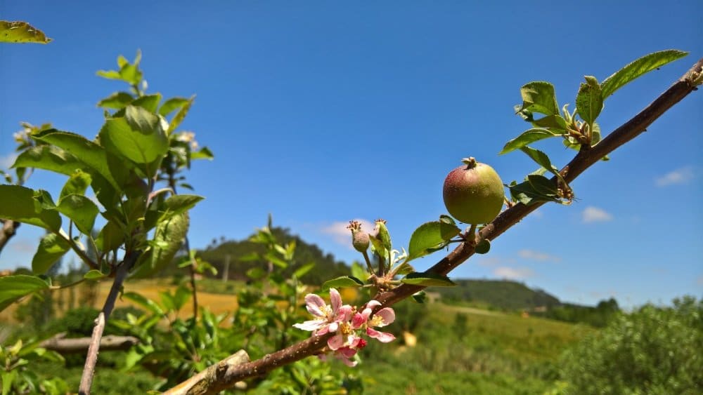 portugal_vijnana_joogaretriitti_6