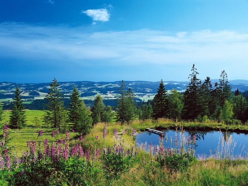 saksa_metsaala_bayerischer_wald_800x600