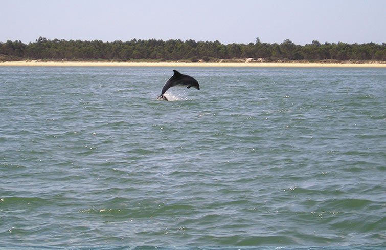 Portugal_htl_CasaDoFrade_regiao_06