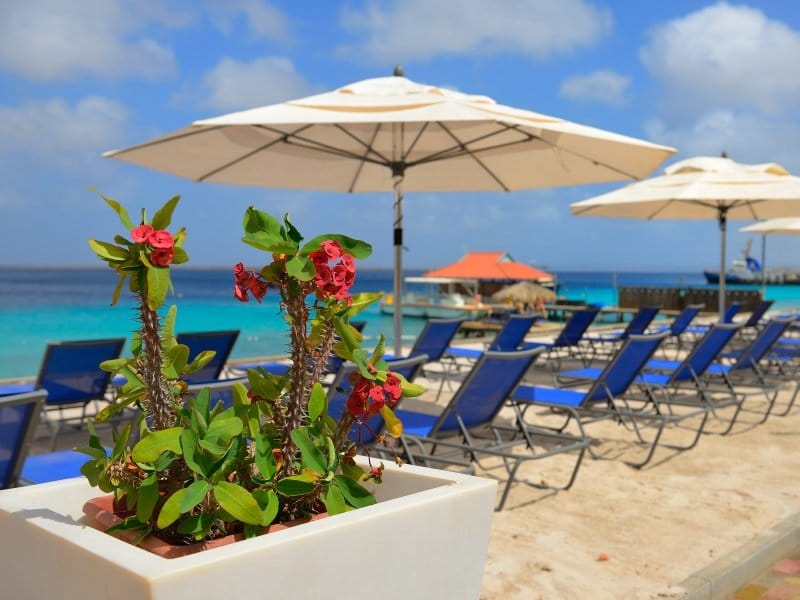 Bonaire_Divi_Flamingo_Beach_Resort_Casino_3_800x600