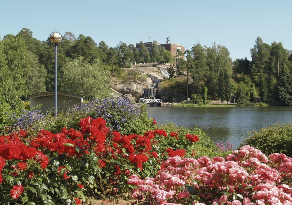 Kotka Sapokka