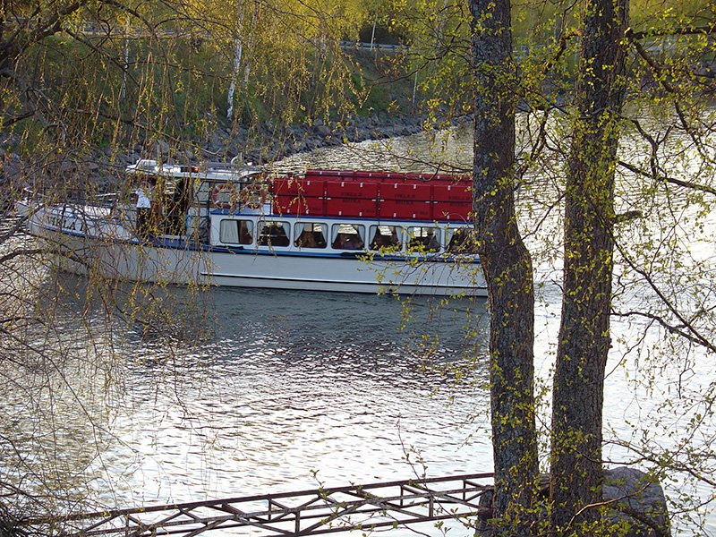Kotka_Vikla-II-3