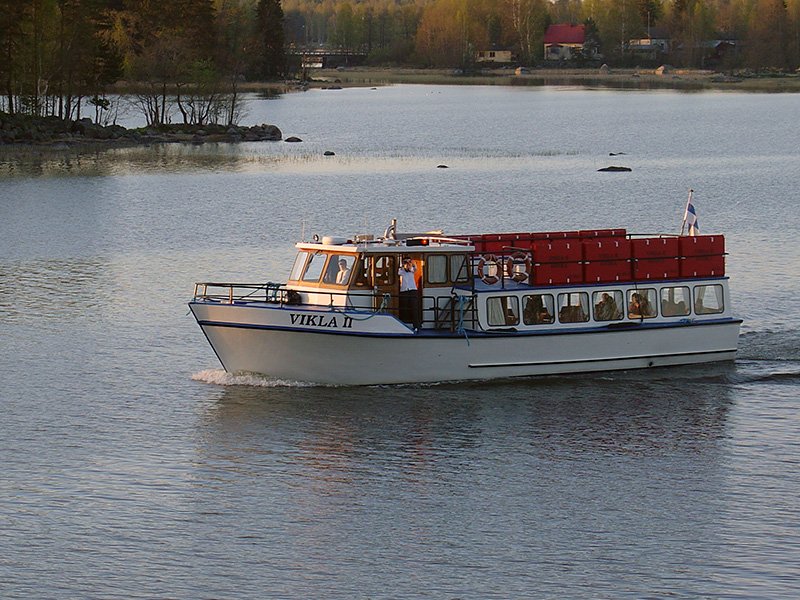 Kotka_ViklaI