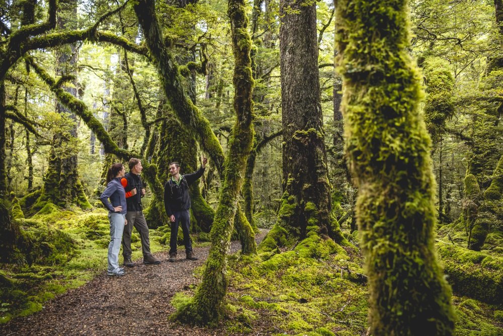 9080-Cascade-Creek-Fiordland-Miles-Holden