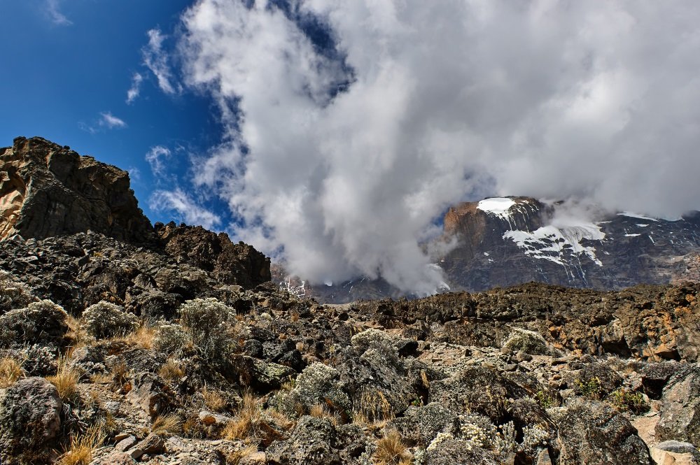 Kilimanjaro photos (11)