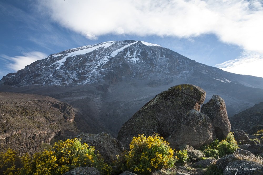 Kilimanjaro photos (4)