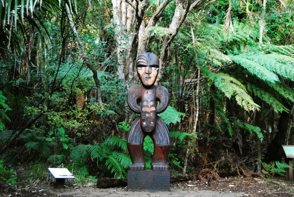 MC109-Waitakere-Auckland-Tourism-New-Zealand