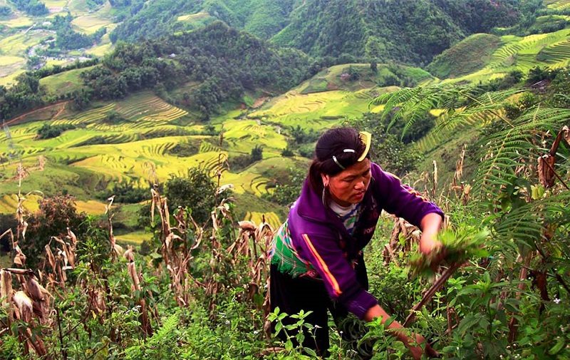 Vietnam_työskentelyä vuorilla