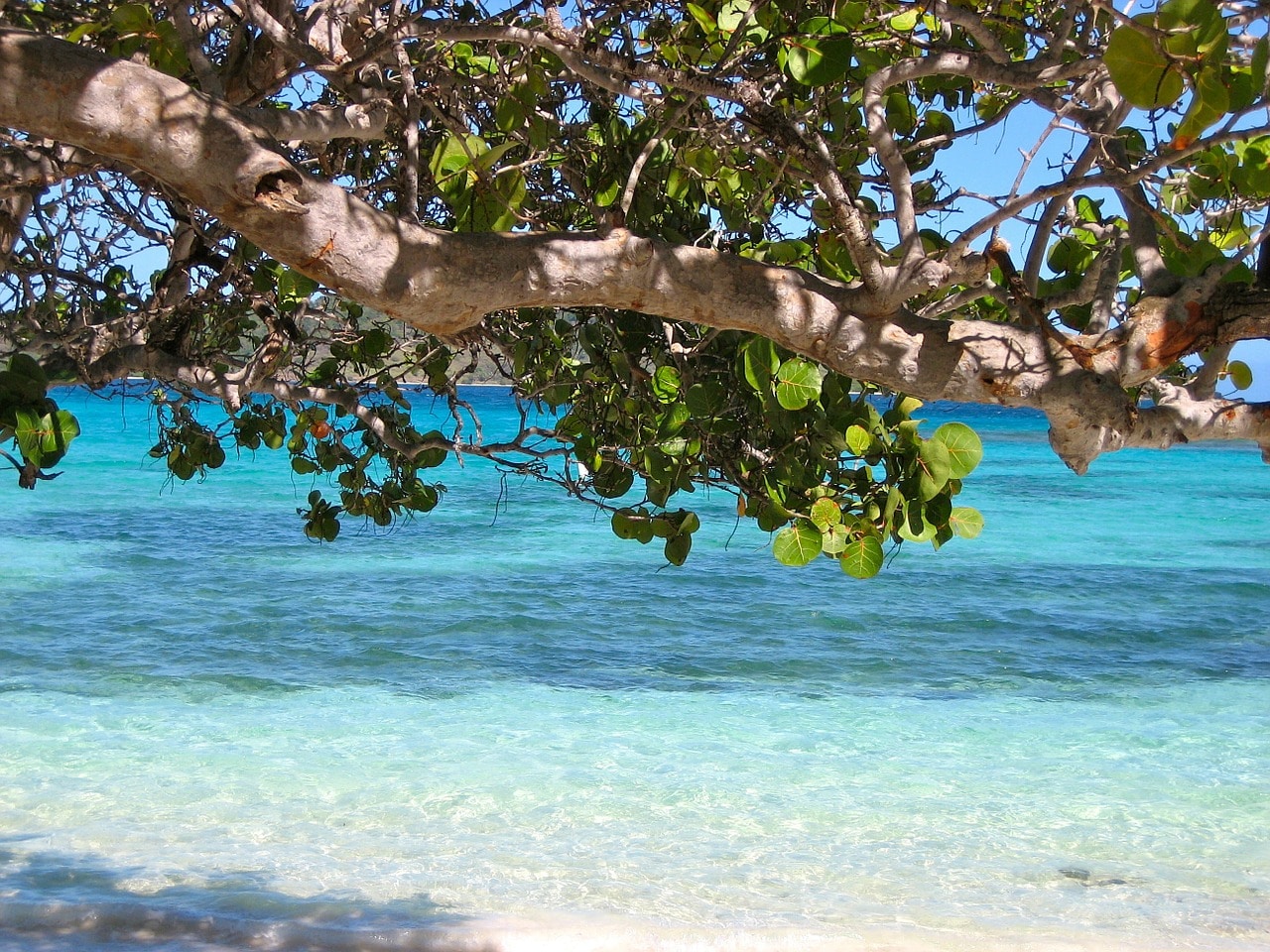 Barbados kaukomatka