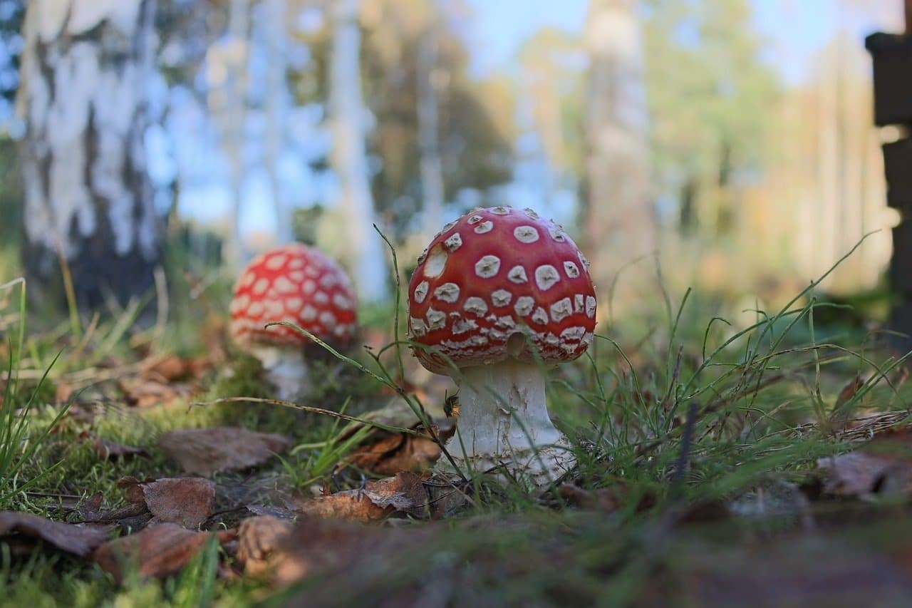 Ryhmä- ja kokousmatkoja Suomessa