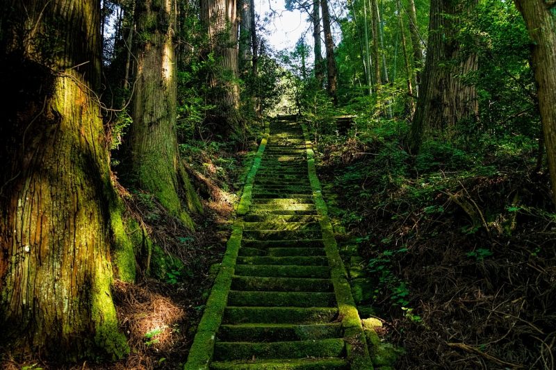 japan-mtaso-1778543_1280