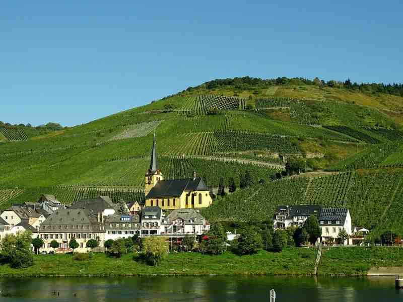 Saksa Mosel viinitarha