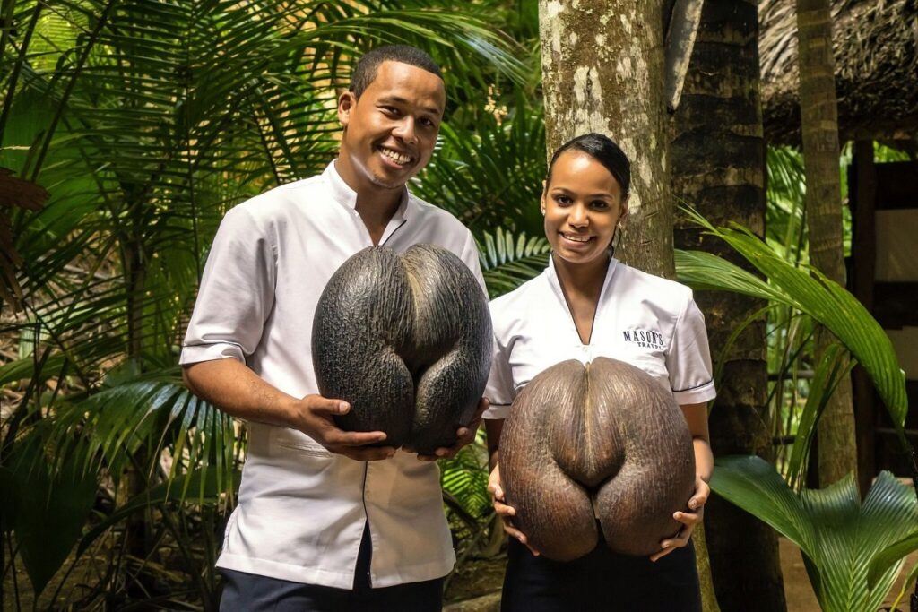 Seychellit opas