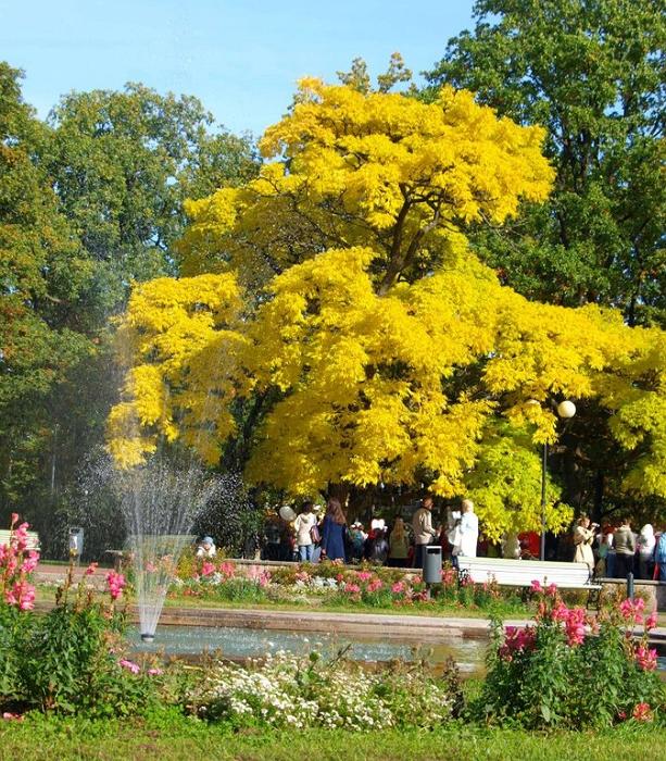 Pärnu leirikoulu