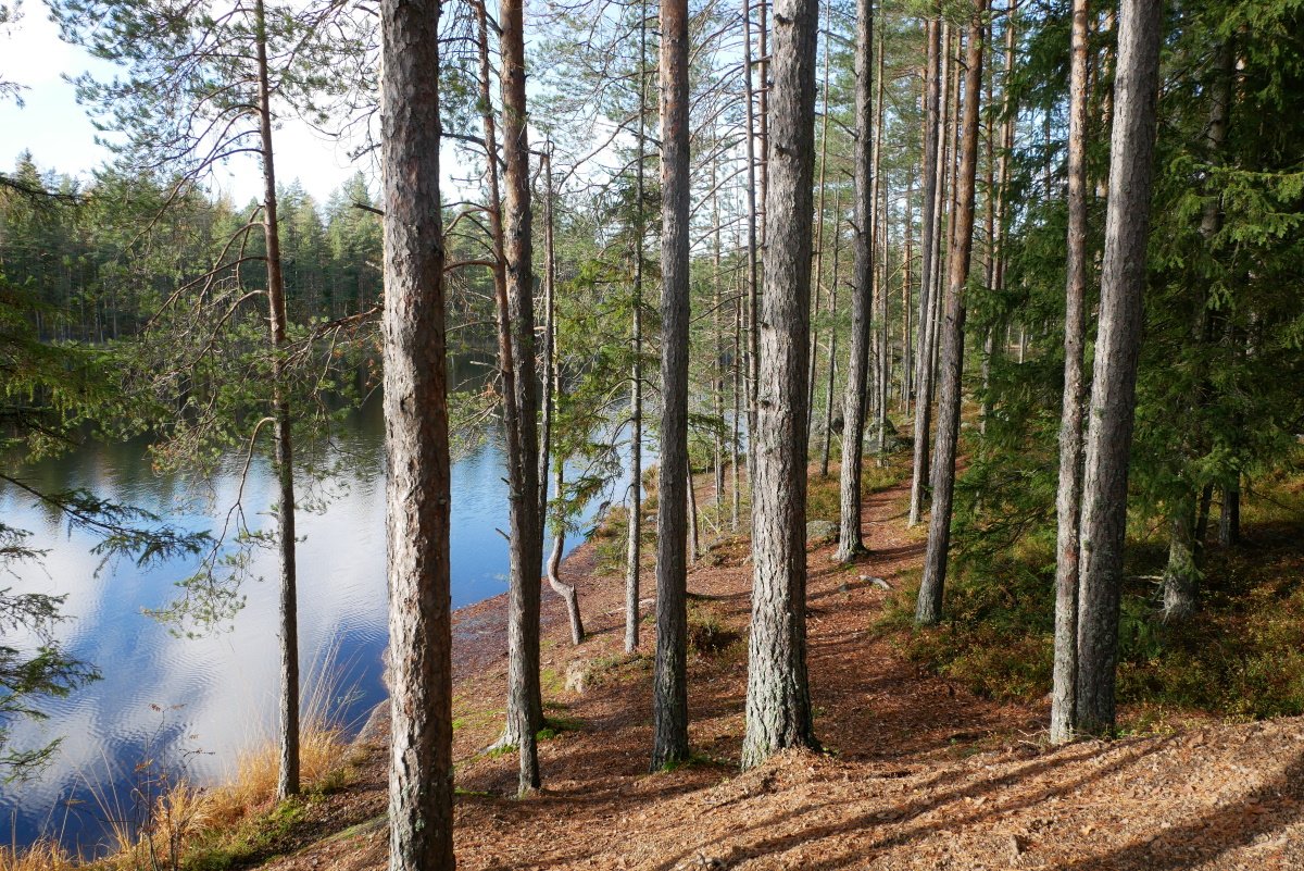 Miehikkälä on aktiivinen maaseutukunta