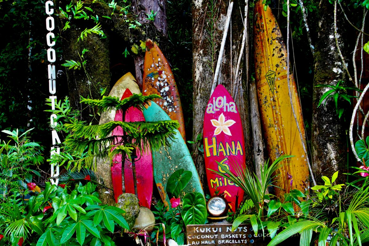 Havaiji Maui surffilaudat