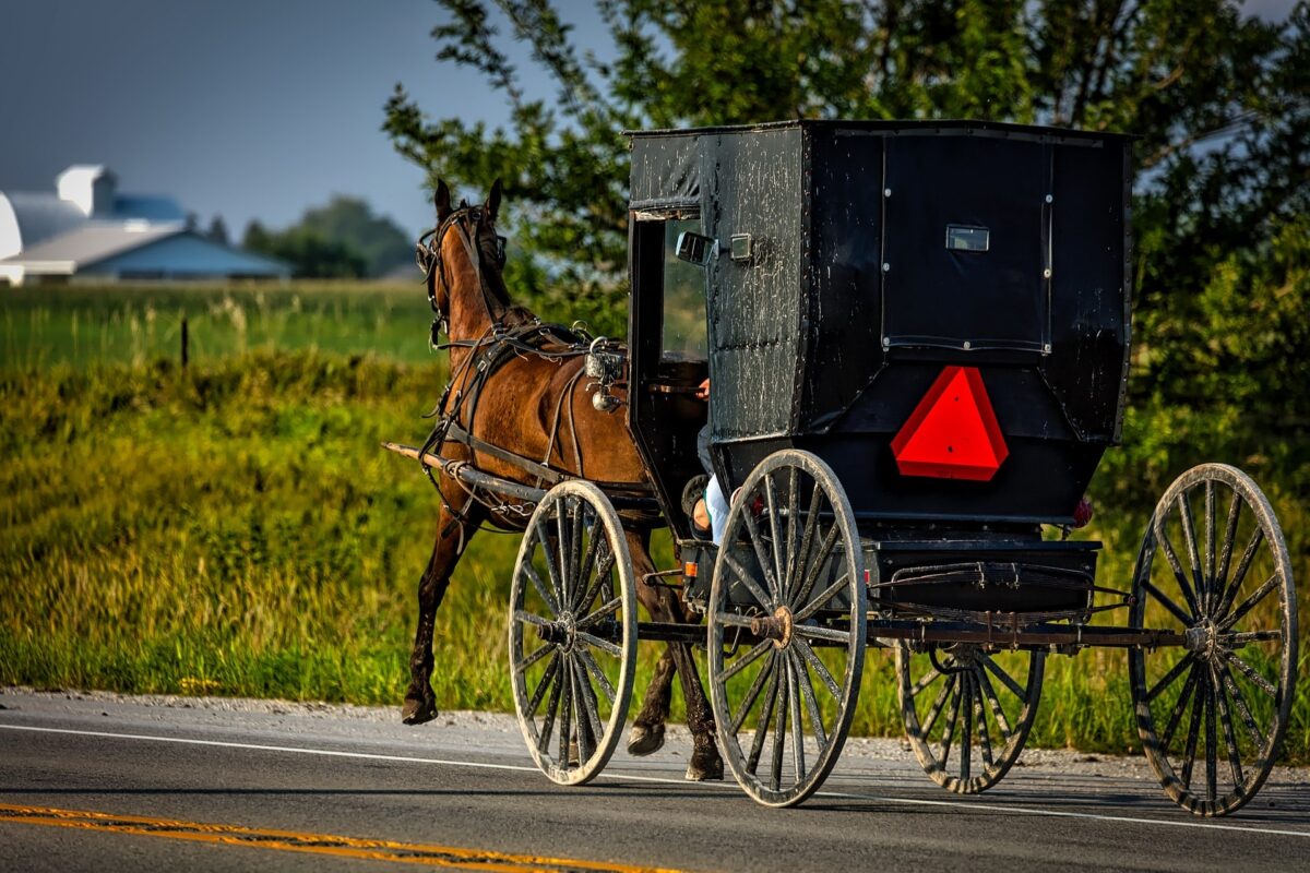 Amish Iowa