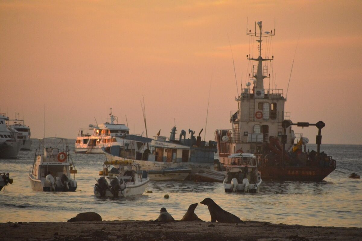 Galapagos saaret