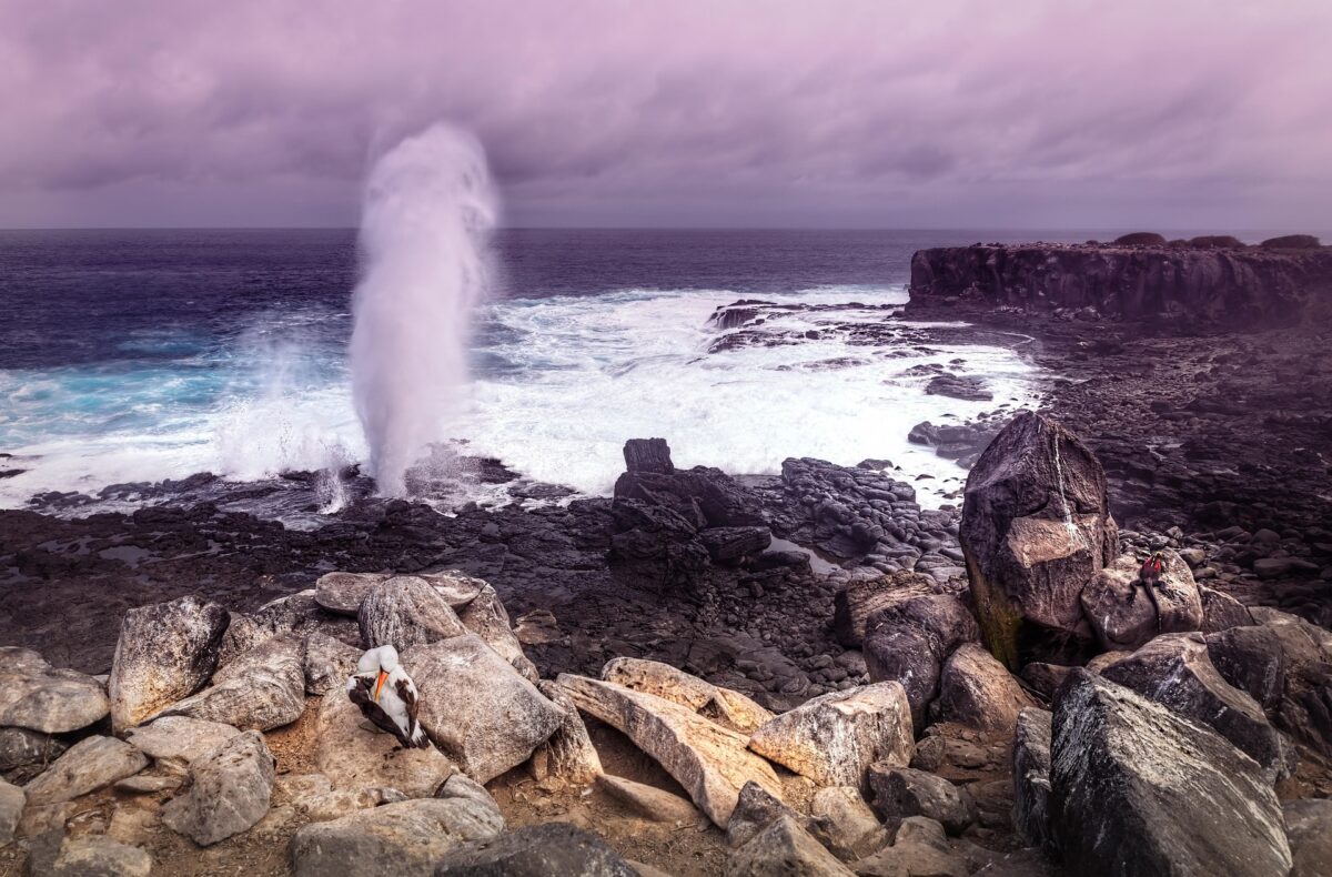 Galapagos saaret
