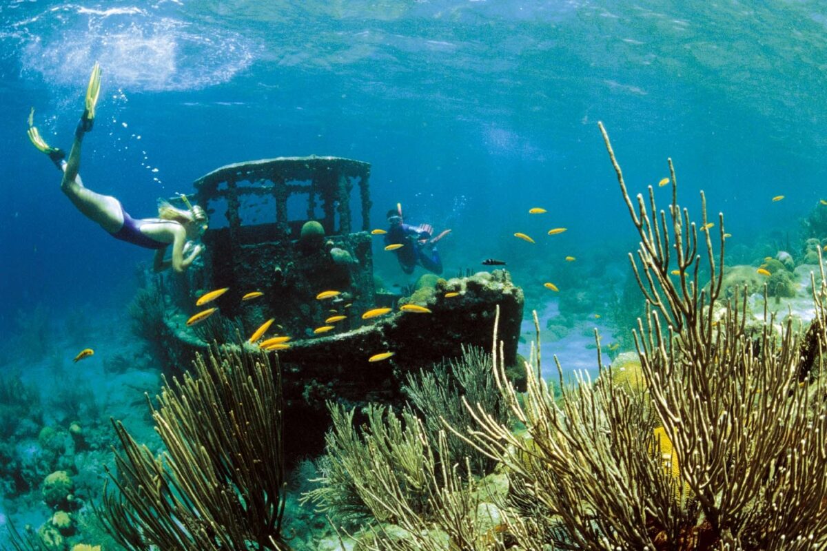Curacao Sukellus