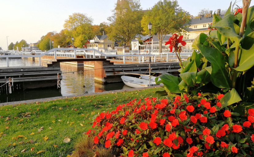 Naantali kesä ruusut