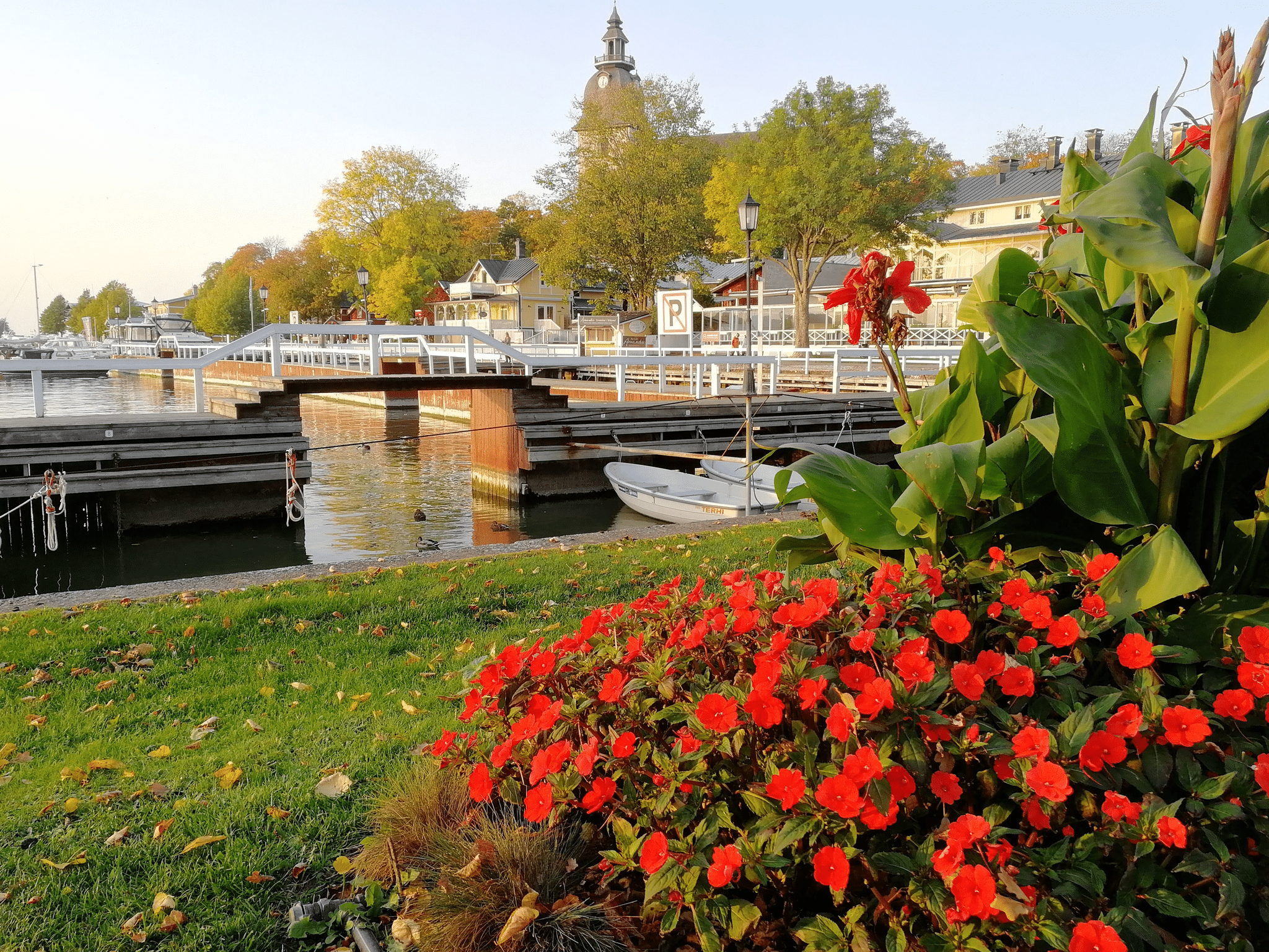 Naantali kesä ruusut