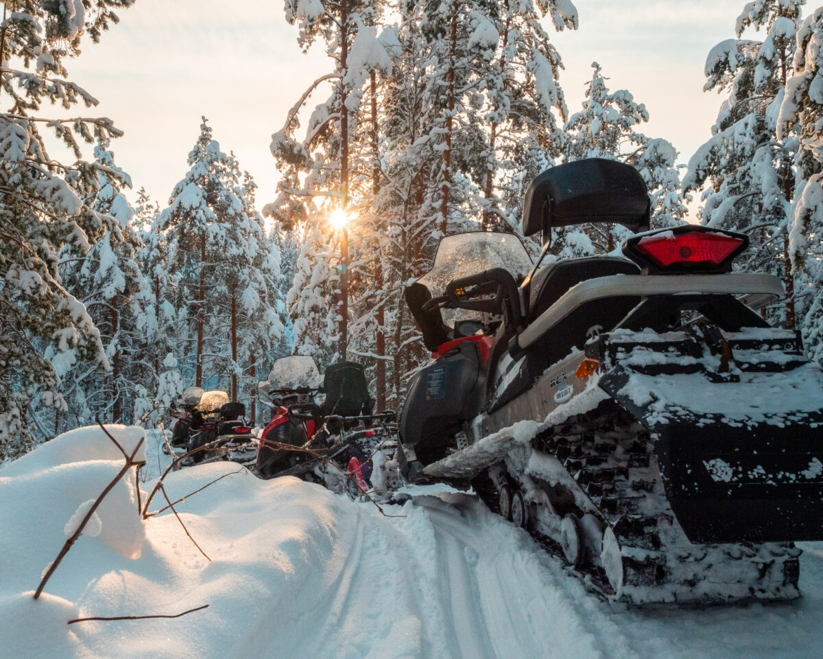 Järvisydän