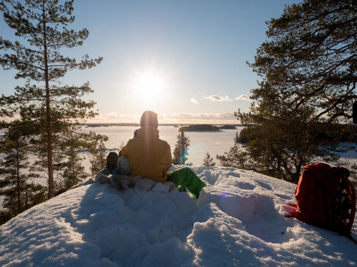 Järvisydän