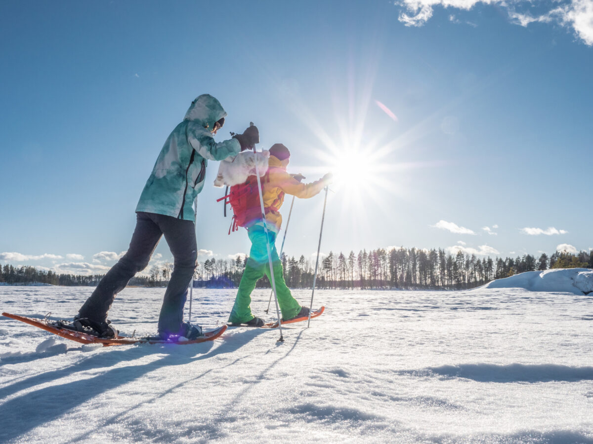 Järvisydän