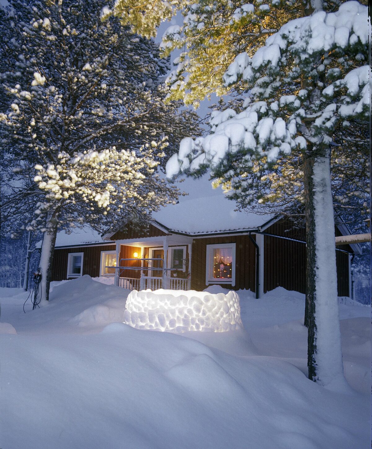 Talvi Talviunelma Winterdream
