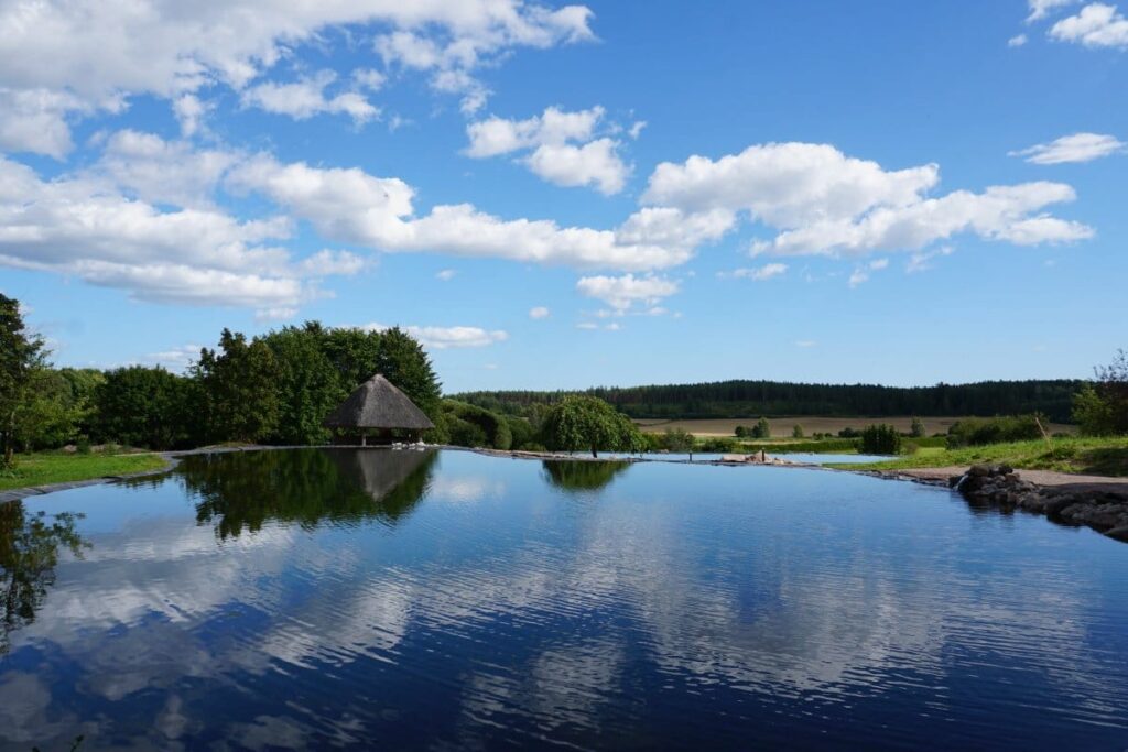 Hamina Harjunhovi