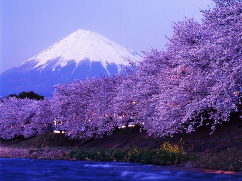 Japani Fuji