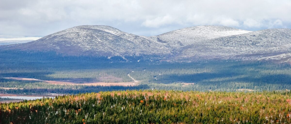 Lappi vuori