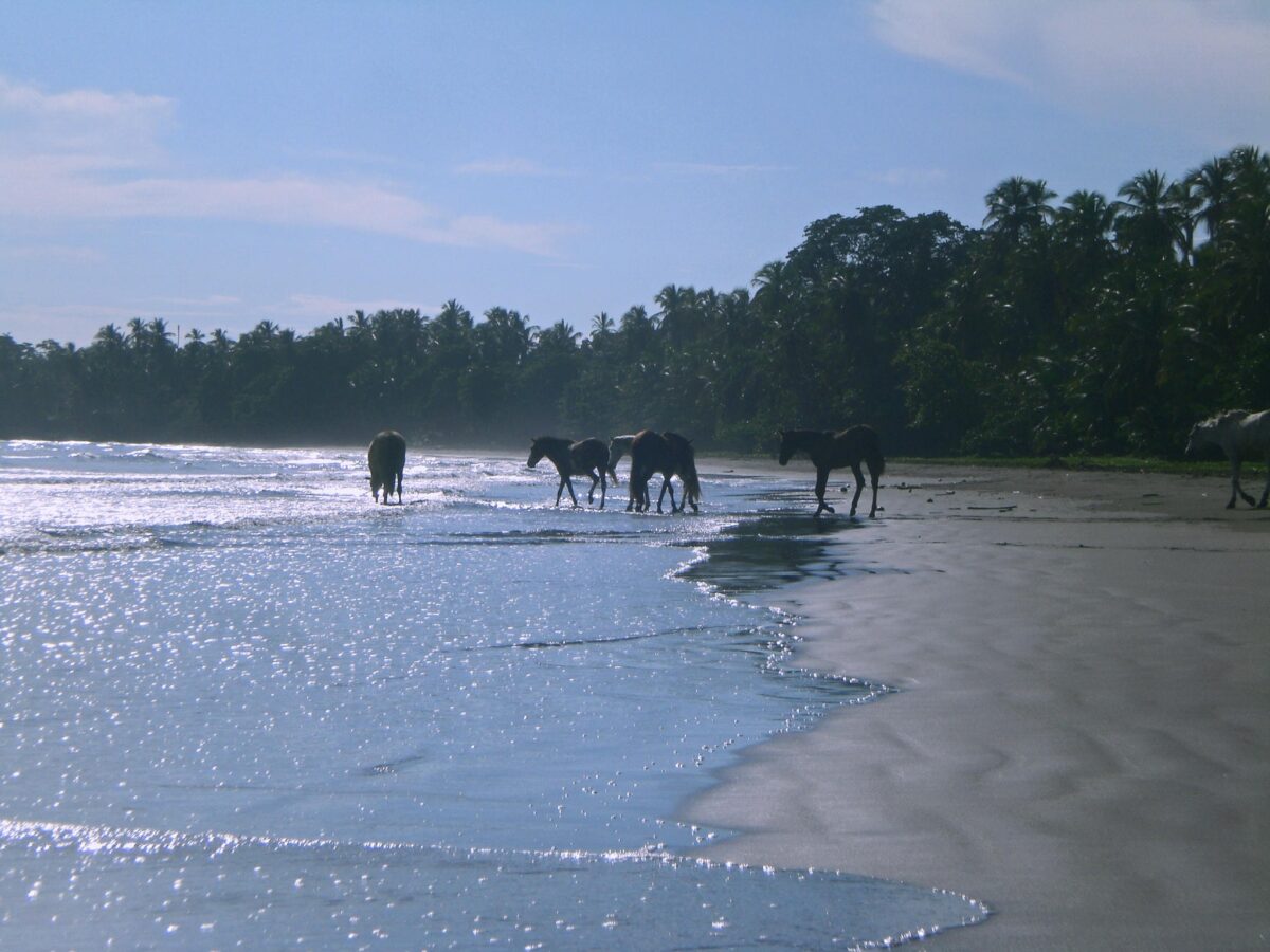Costa Rica