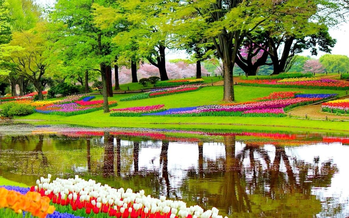 Hollanti Amsterdam keukenhof